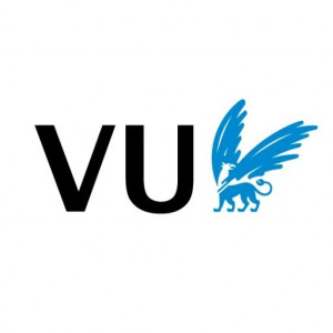 VU Fellowship Programme