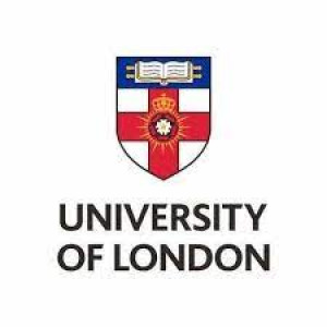 Váradi Distance Learning Scholarships at University of London
