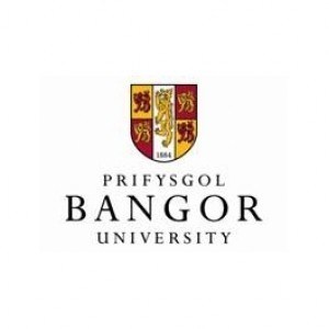Университет Бангора
