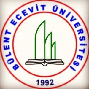 Bulent Ecevit University