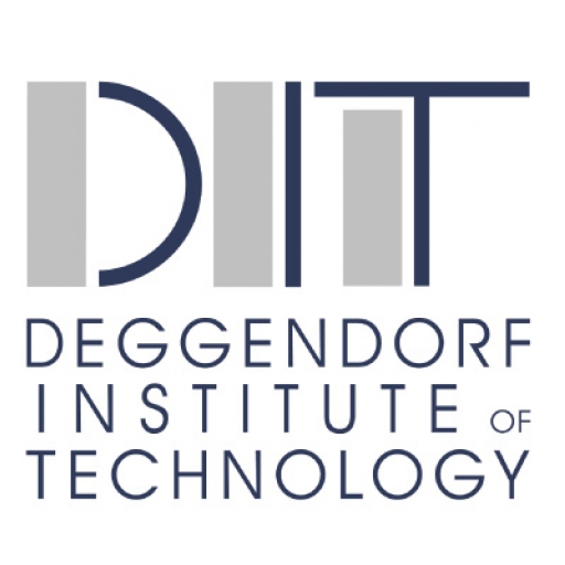 Технологический институт Деггендорфа
