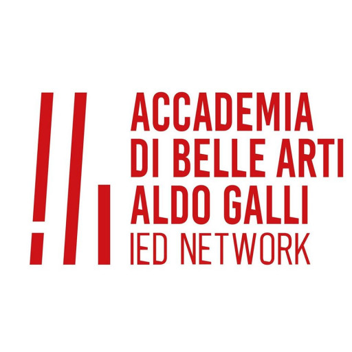 Академия изящных искусств Альдо Галли